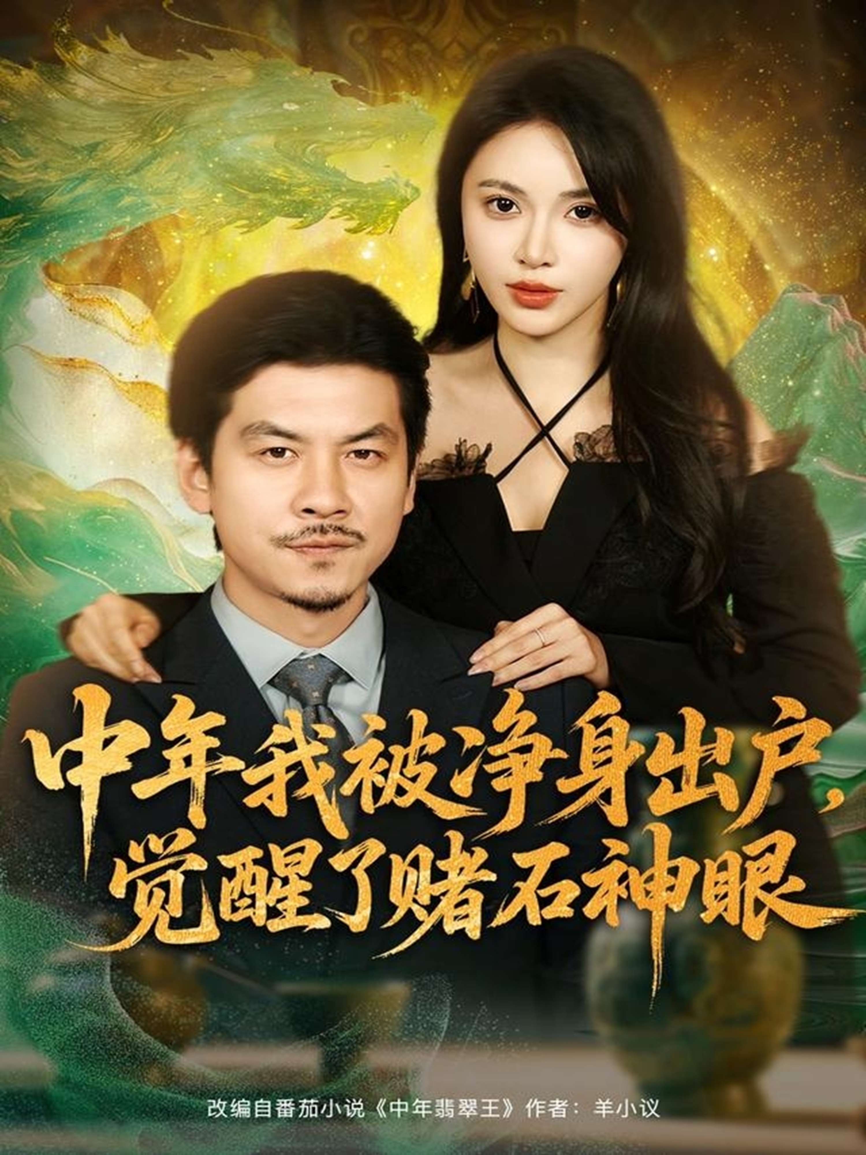 中年我被净身出户,觉醒了赌石神眼