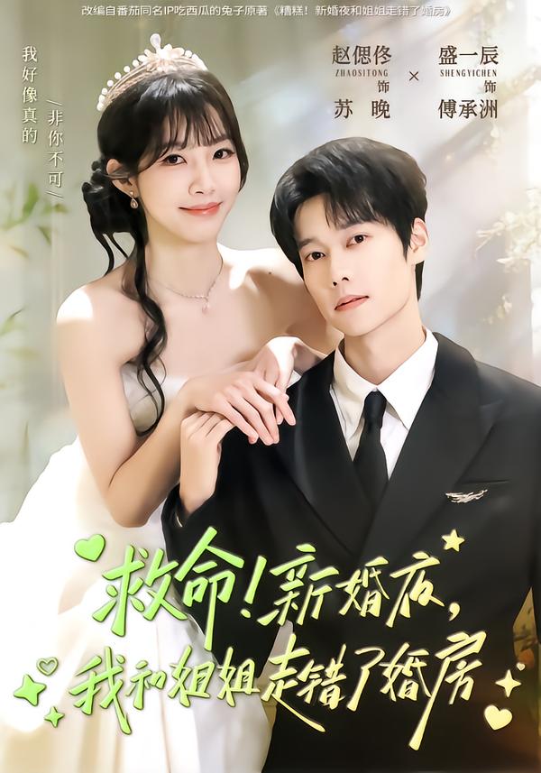 救命!新婚夜,我和姐姐走错了婚房