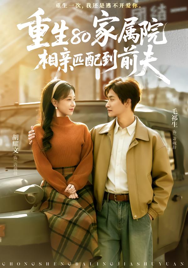 重生80家属院,相亲匹配到前夫