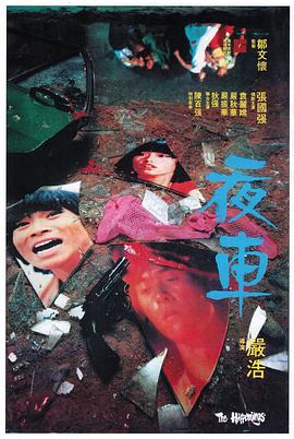 夜车国语